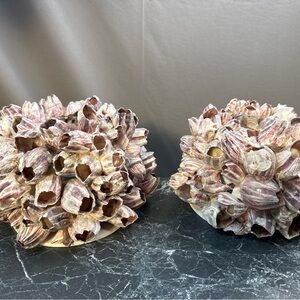 Decorative Barnacle Clusters - Purple and Cream sconces candle holders